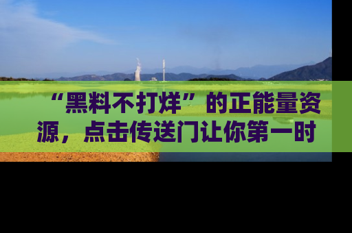 “黑料不打烊”的正能量资源,点击传送门让你第一时间获取最新入口资讯!