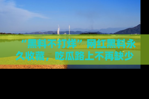 “黑料不打烊”网红黑料永久收藏,吃瓜路上不再缺少惊喜与乐趣