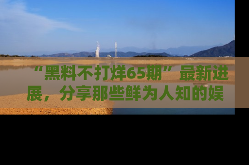 “黑料不打烊65期”最新进展,分享那些鲜为人知的娱乐八卦