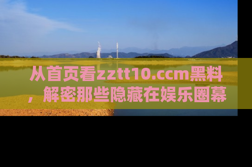 从首页看zztt10.ccm黑料，解密那些隐藏在娱乐圈幕后的丑闻故事！