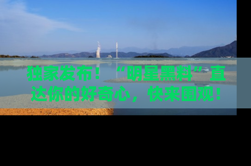 独家发布！“明星黑料”直达你的好奇心，快来围观！