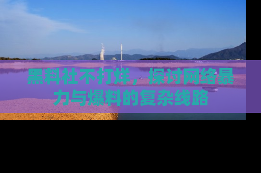 黑料社不打烊，探讨网络暴力与爆料的复杂线路