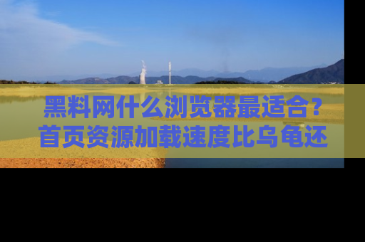 黑料网什么浏览器最适合？首页资源加载速度比乌龟还慢的体验真心吐槽！