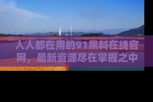 人人都在用的91黑料在线官网，最新资源尽在掌握之中
