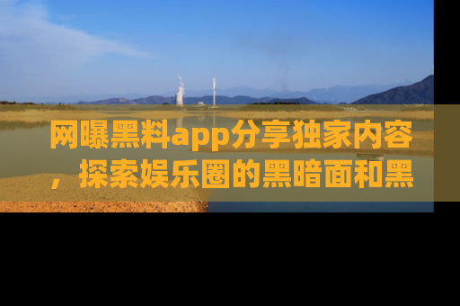 网曝黑料app分享独家内容,探索娱乐圈的黑暗面和黑料