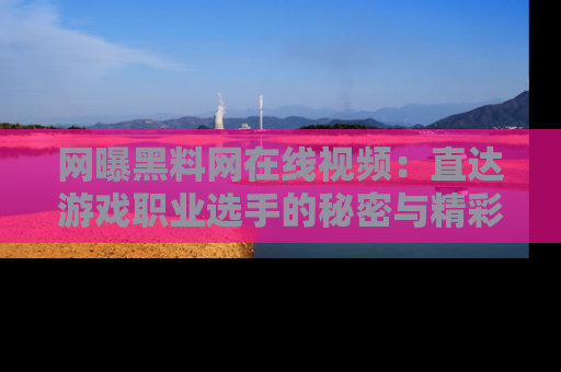 网曝黑料网在线视频:直达游戏职业选手的秘密与精彩动漫片段!