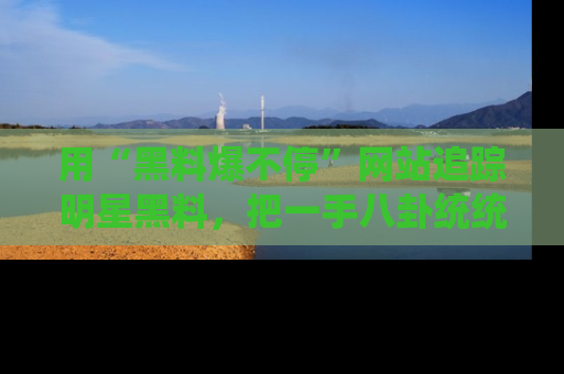 用“黑料爆不停”网站追踪明星黑料，把一手八卦统统收进你的后宫中！