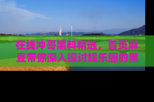 在线冲哥黑料精选，首页麻豆带你深入探讨娱乐圈的黑暗面