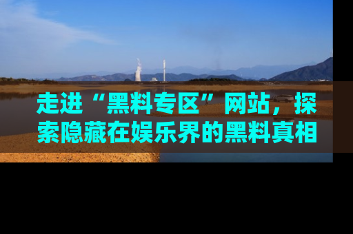 走进“黑料专区”网站，探索隐藏在娱乐界的黑料真相